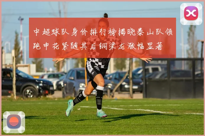 中超球队身价排行榜揭晓泰山队领跑申花紧随其后铜梁龙涨幅显著