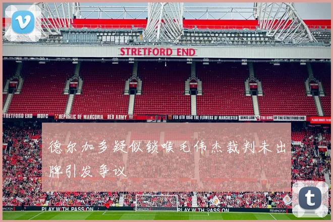 德尔加多疑似锁喉毛伟杰裁判未出牌引发争议