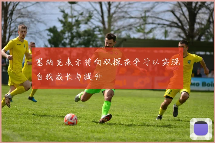 塞纳克表示将向双探花学习以实现自我成长与提升