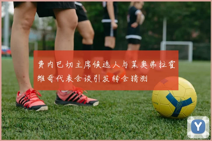 费内巴切主席候选人与莱奥弗拉霍维奇代表会谈引发转会猜测